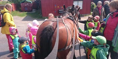 Ta en tur till närmsta 4H-gård